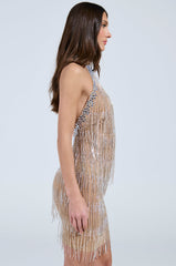 SHAKE IT OFF MINI DRESS