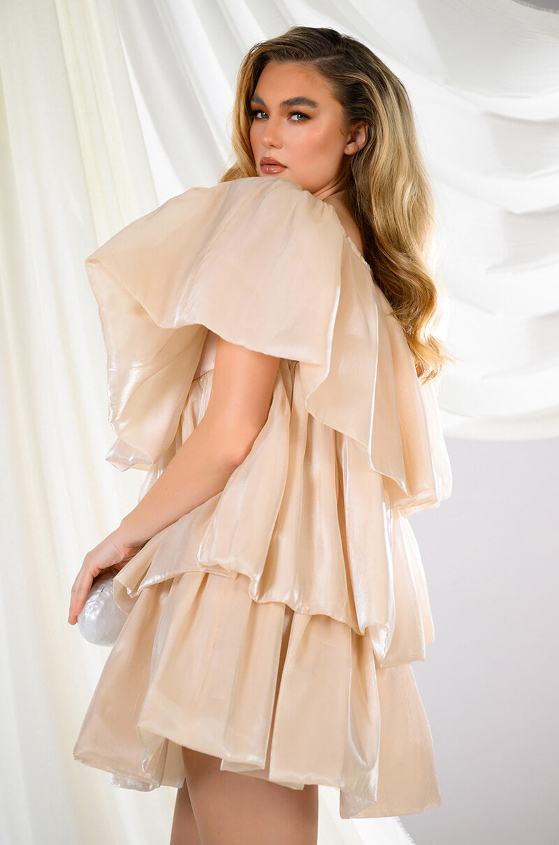 FAIRY DREAMS CHIFFON LAYERED MINI DRESS